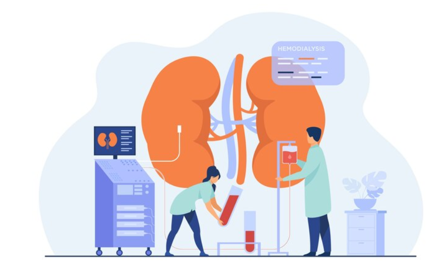 Best Nephrology treatment in Greater Noida West